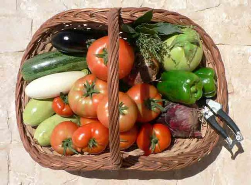 Ratatouille
