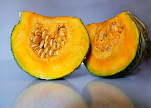 Zucca