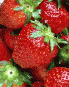 fragole