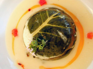 tortino