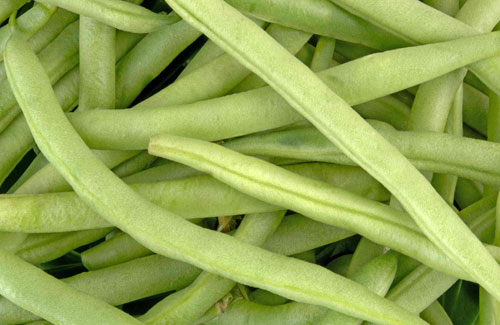 Fagiolini
