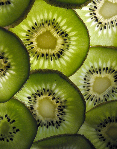 kiwi