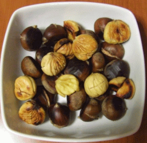 castagne