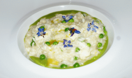 risotto alla borragine