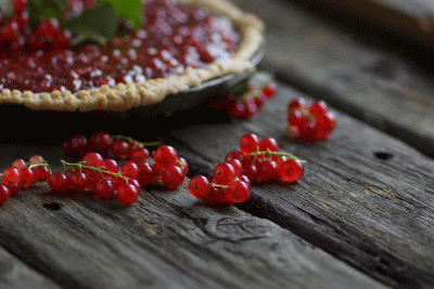 torta di ribes