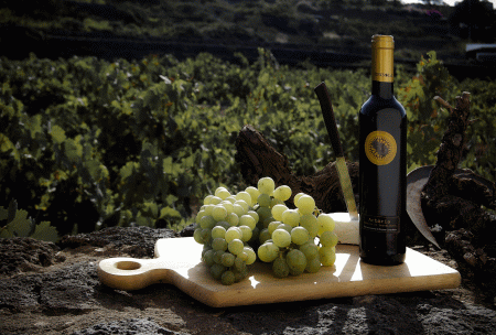 Passito pantelleria