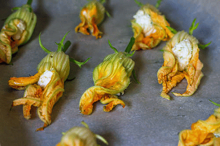 Fiori di zucca