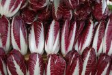 radicchio trevigiano