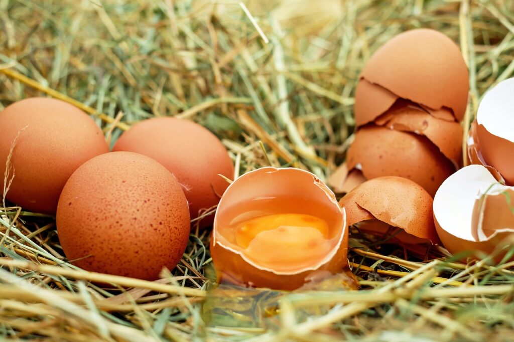 L’uovo: il simbolo perfetto della primavera